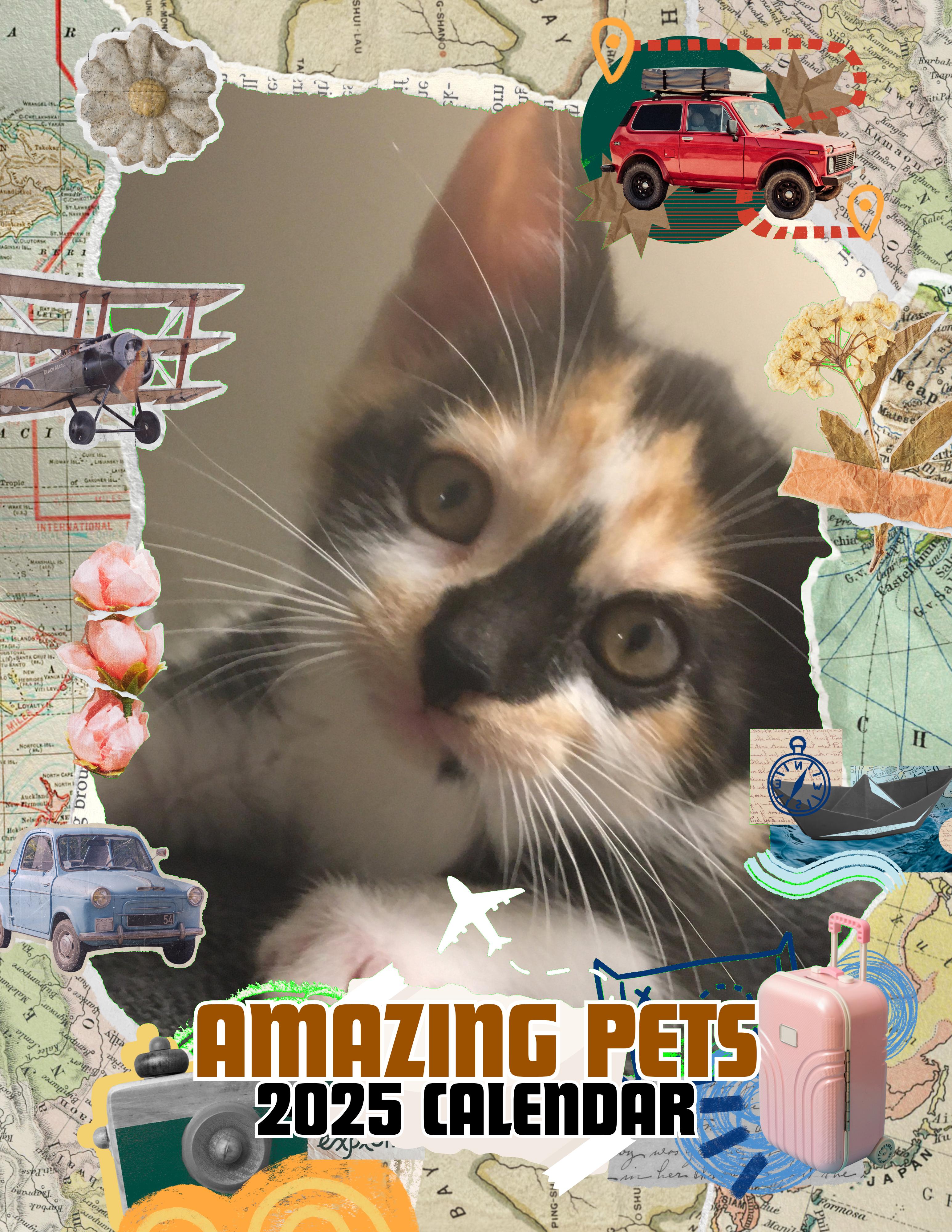 Amazing Pets: 2025 Wall Calendar (Pre-Order)