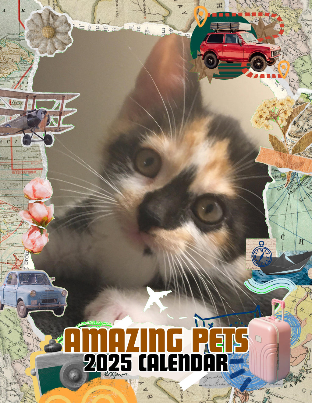 Amazing Pets: 2025 Wall Calendar (Pre-Order)