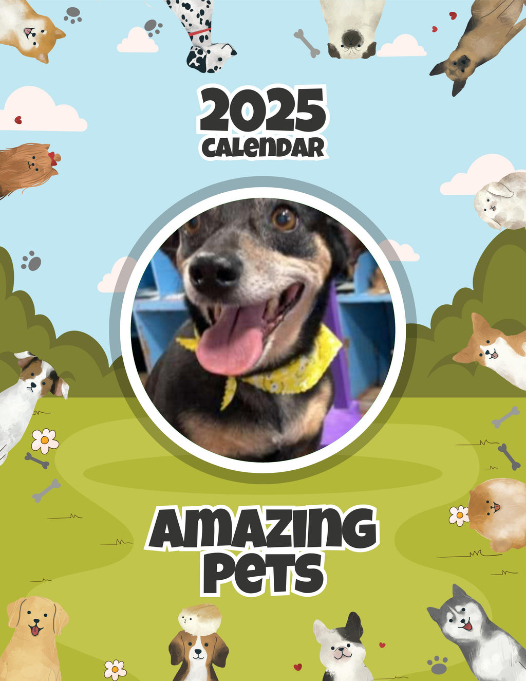 Amazing Pets: 2025 Wall Calendar (Pre-Order)