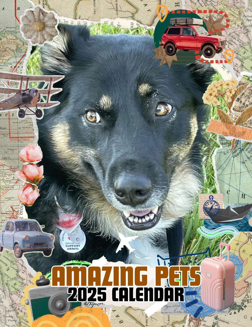 Amazing Pets: 2025 Wall Calendar (Pre-Order)