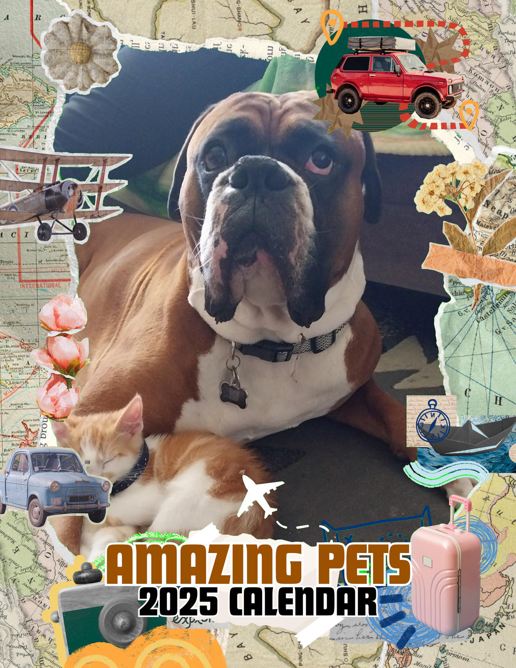 Amazing Pets: 2025 Wall Calendar (Pre-Order)