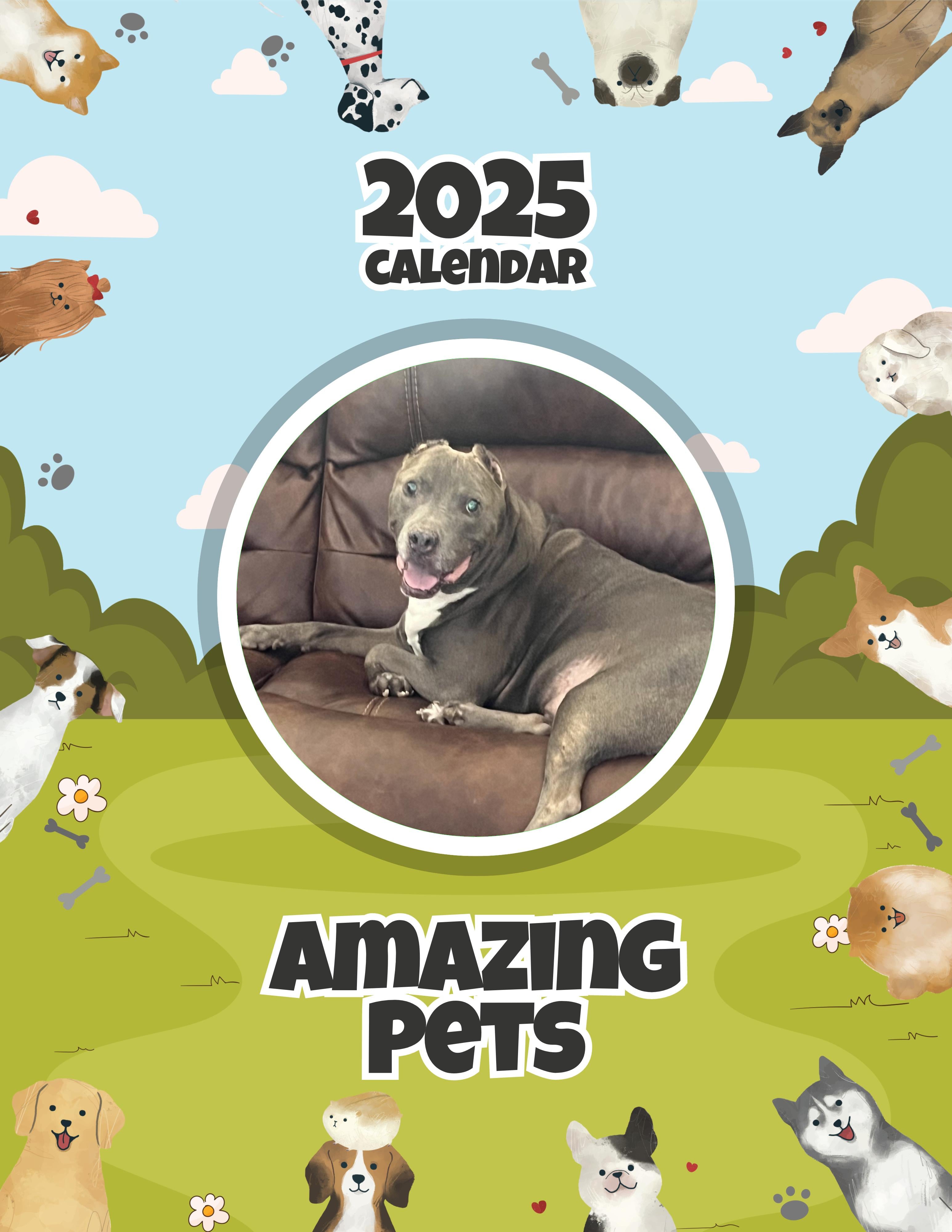Amazing Pets: 2025 Wall Calendar (Pre-Order)