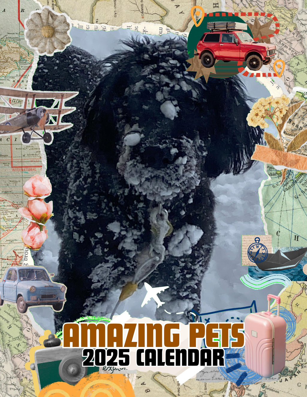 Amazing Pets: 2025 Wall Calendar (Pre-Order)