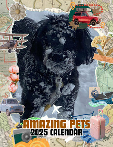 Amazing Pets: 2025 Wall Calendar (Pre-Order)