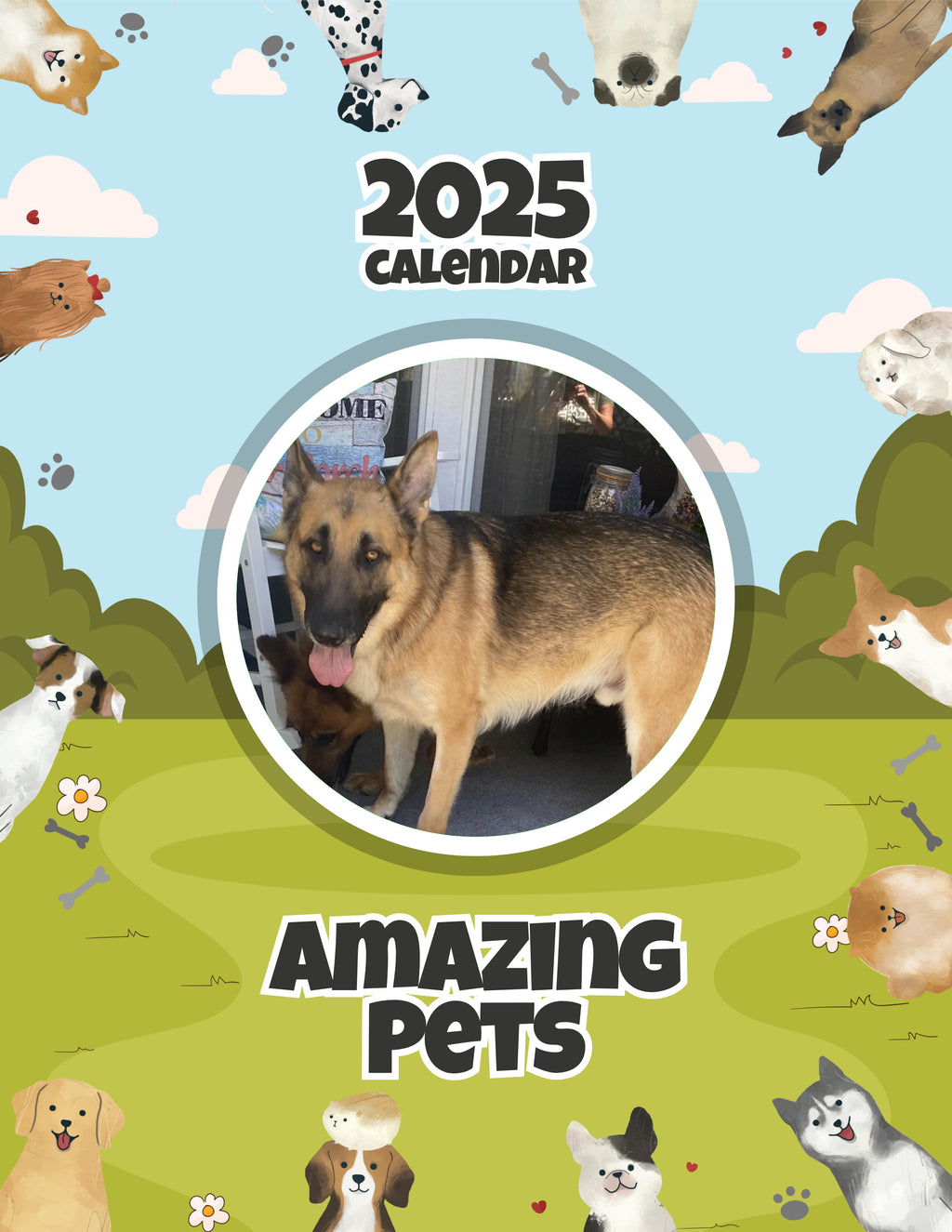 Amazing Pets: 2025 Wall Calendar (Pre-Order)