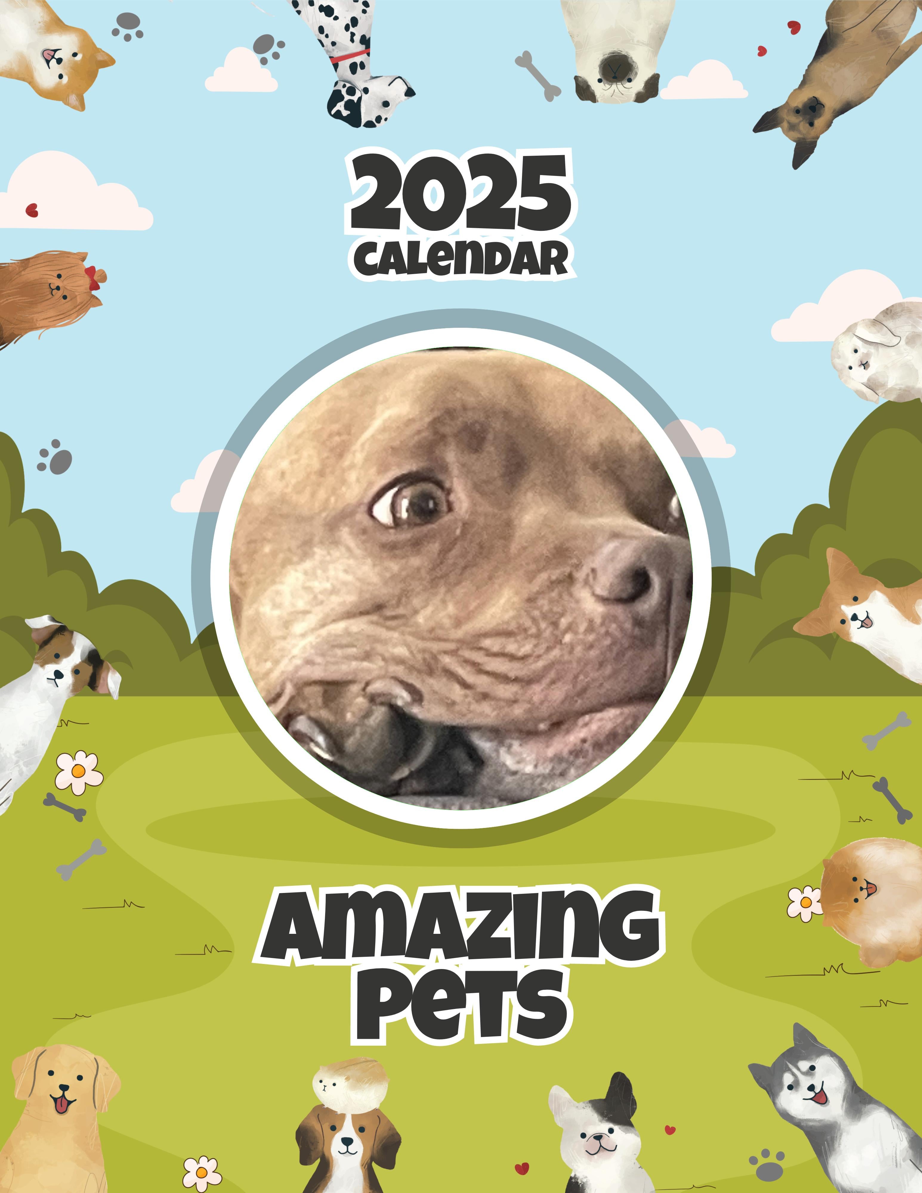 Amazing Pets: 2025 Wall Calendar (Pre-Order)