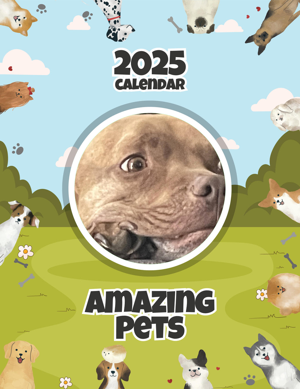 Amazing Pets: 2025 Wall Calendar (Pre-Order)