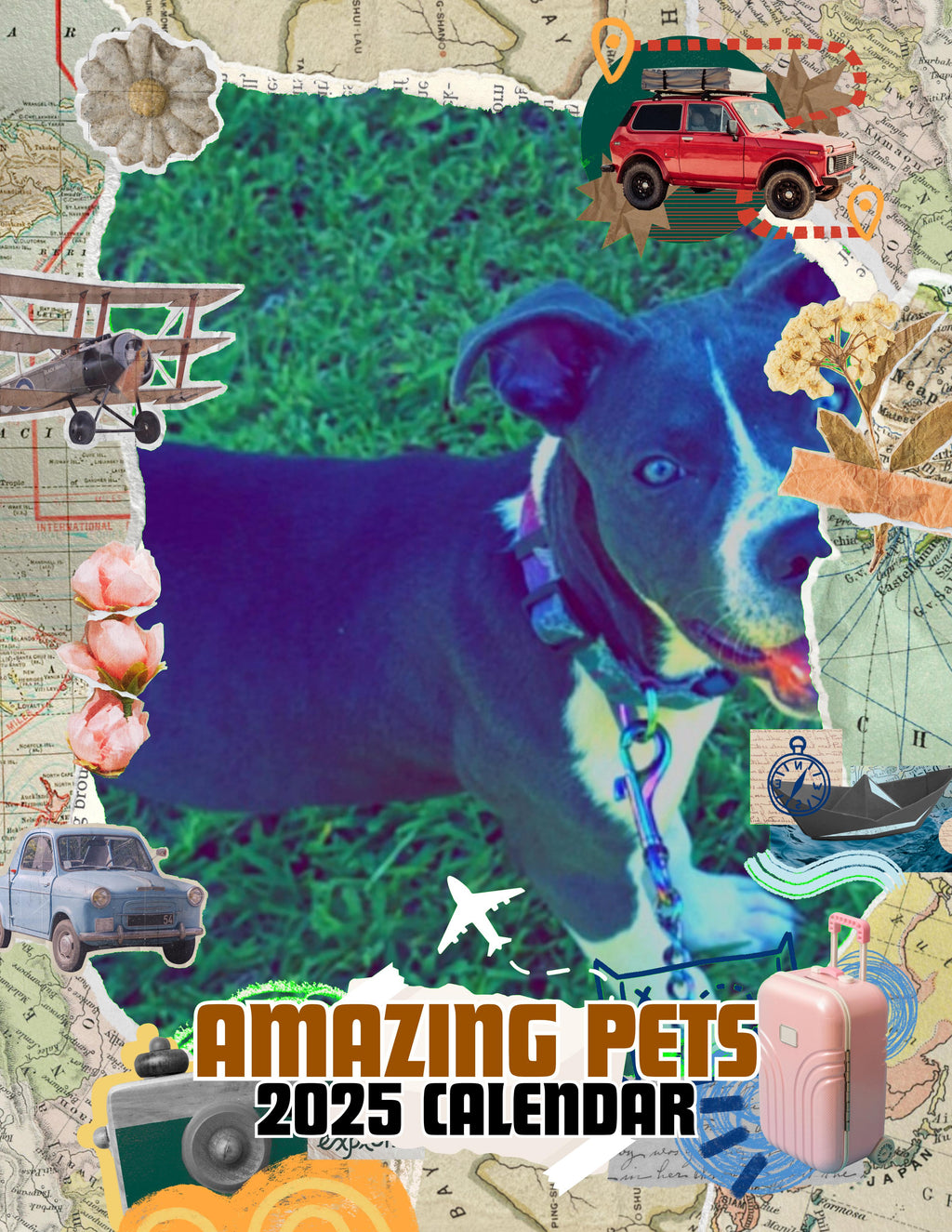 Amazing Pets: 2025 Wall Calendar (Pre-Order)