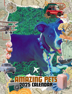 Amazing Pets: 2025 Wall Calendar (Pre-Order)