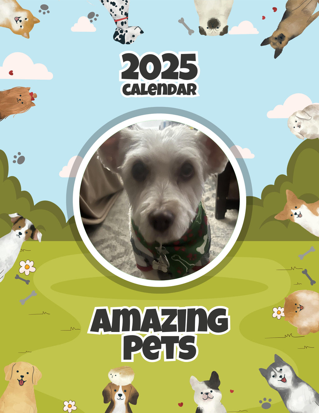 Amazing Pets: 2025 Wall Calendar (Pre-Order)
