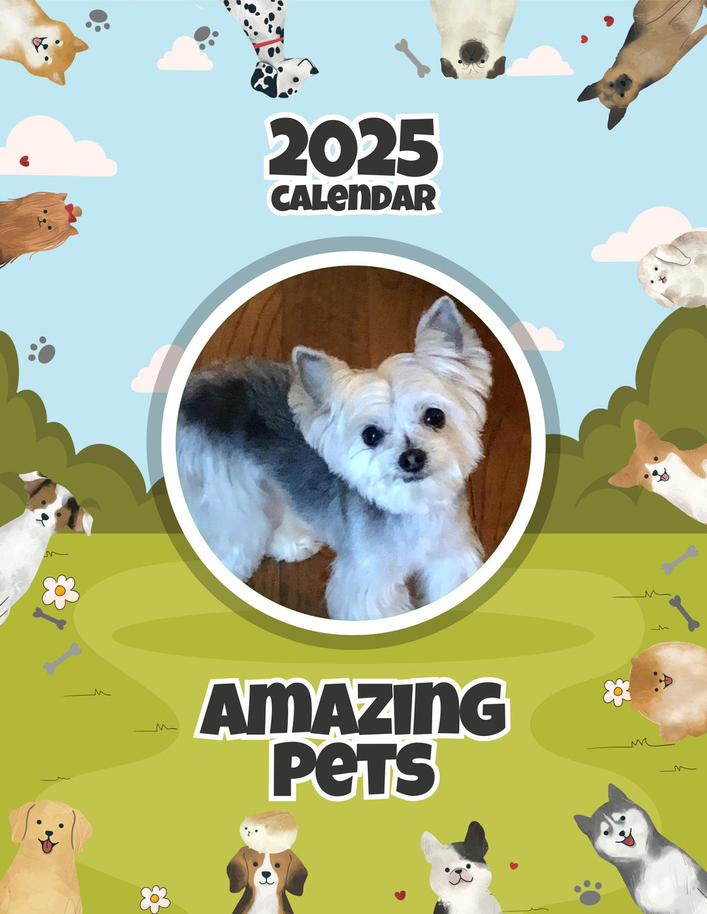 Amazing Pets: 2025 Wall Calendar (Pre-Order)
