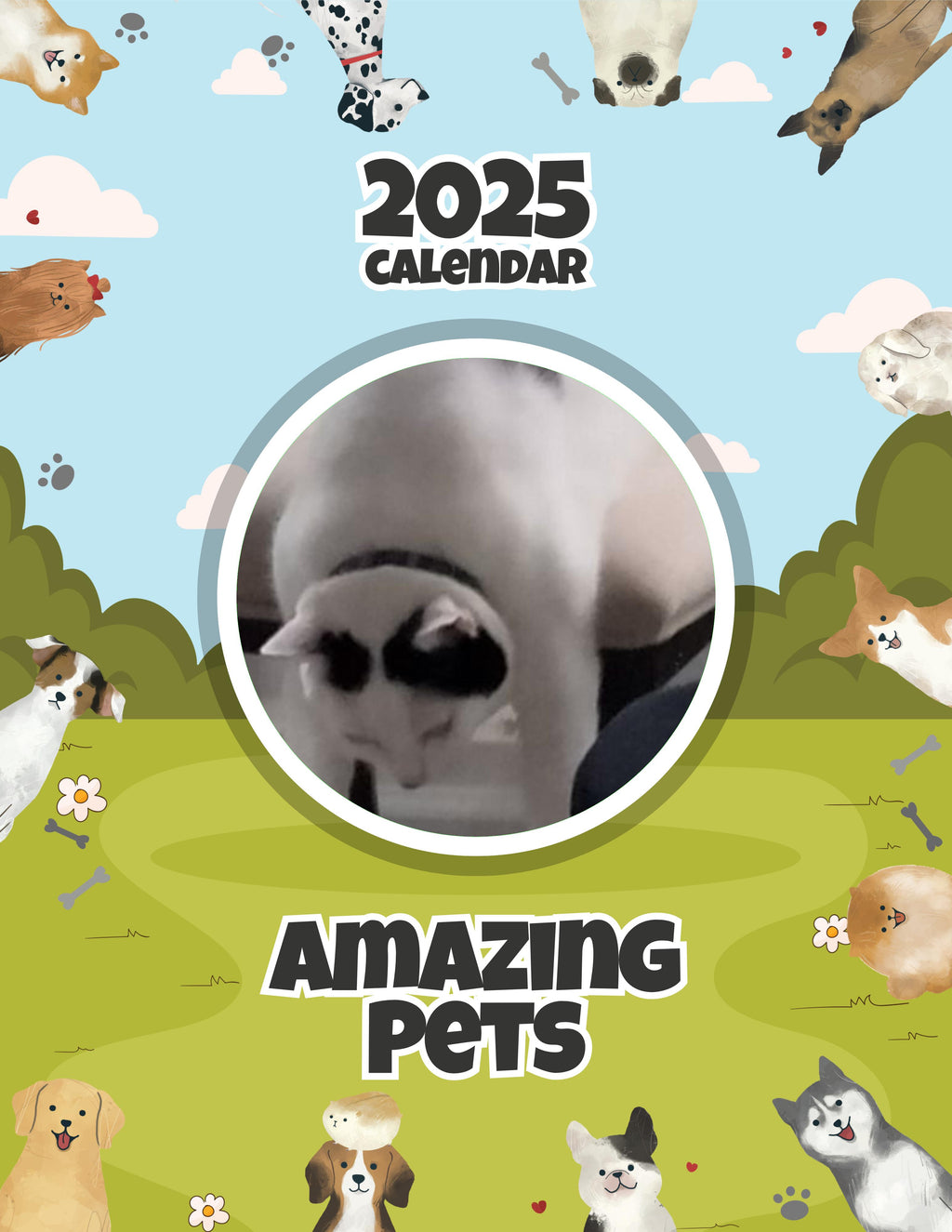 Amazing Pets: 2025 Wall Calendar (Pre-Order)