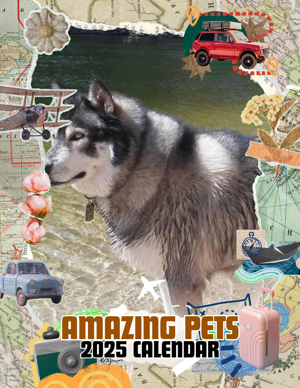 Amazing Pets: 2025 Wall Calendar (Pre-Order)