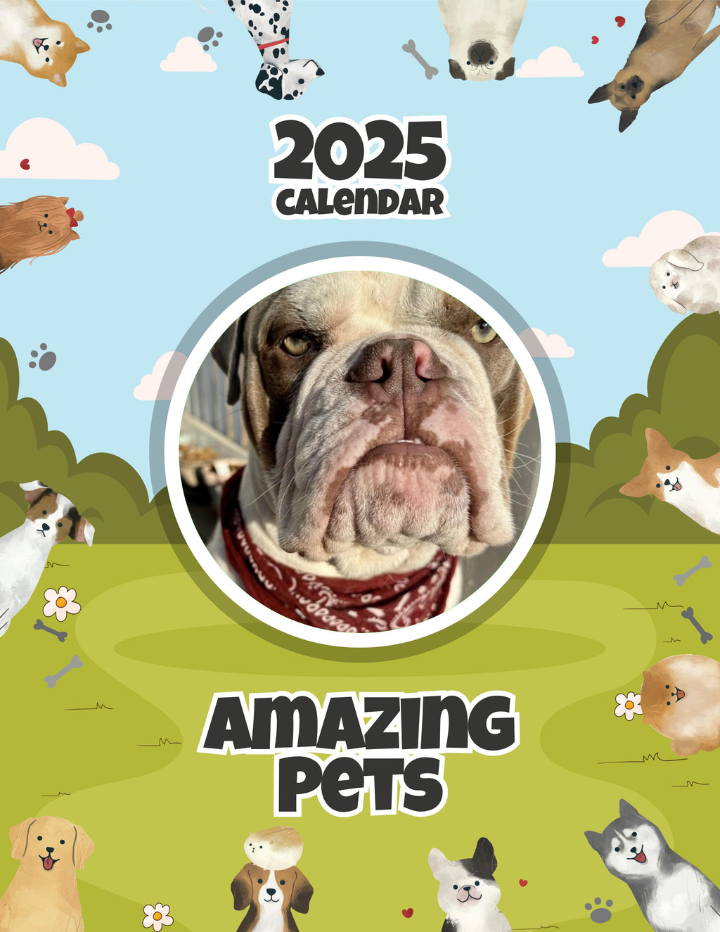Amazing Pets: 2025 Wall Calendar (Pre-Order)