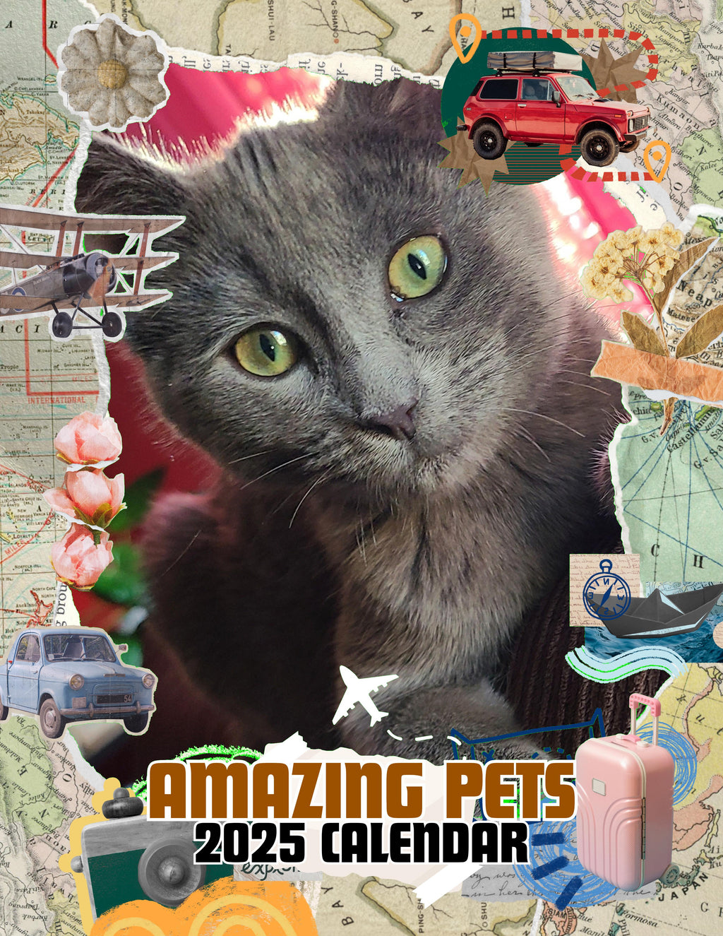 Amazing Pets: 2025 Wall Calendar (Pre-Order)