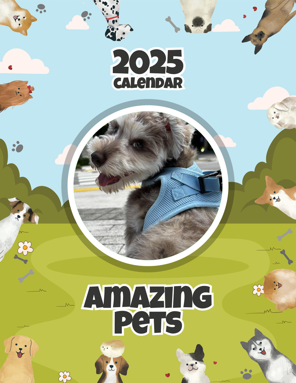 Amazing Pets: 2025 Wall Calendar (Pre-Order)