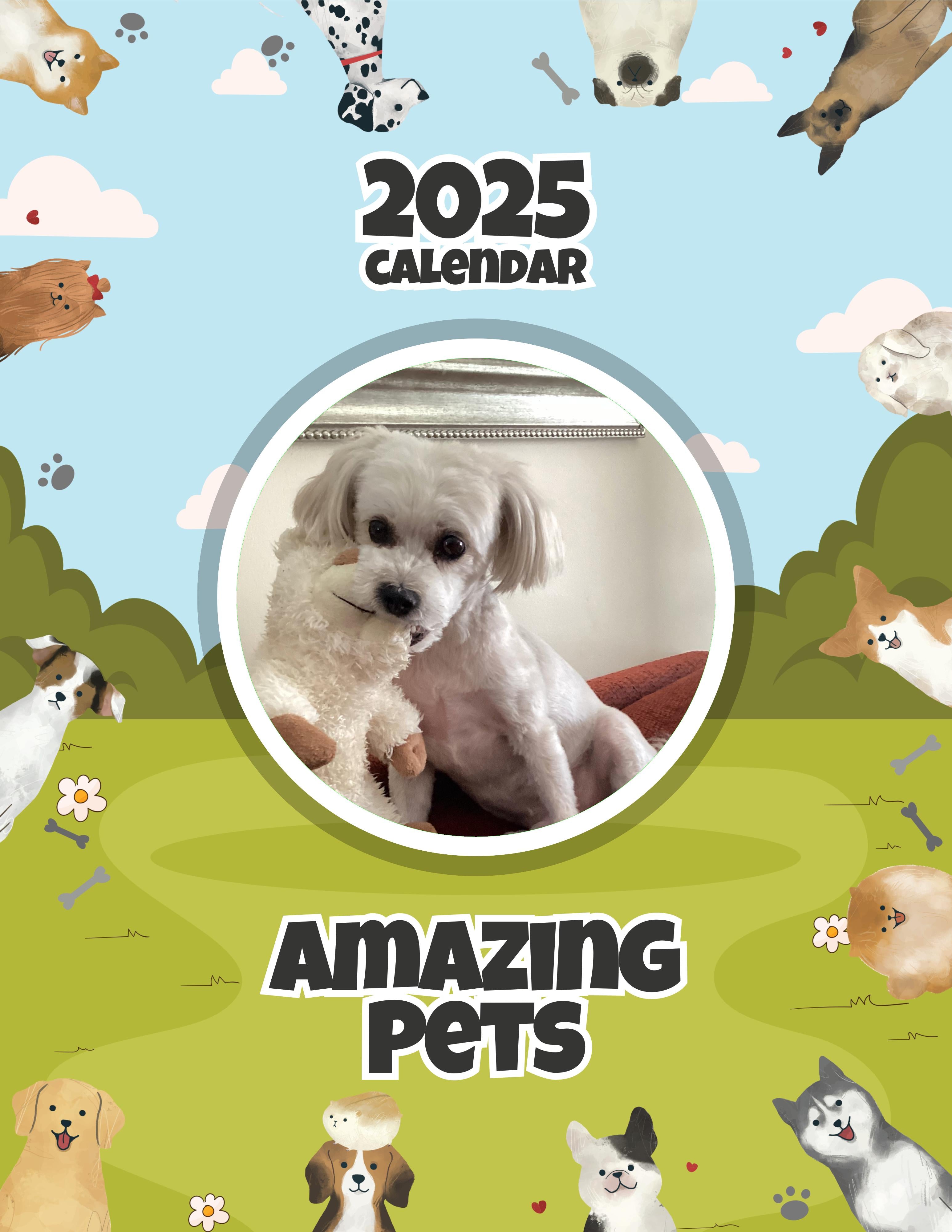 Amazing Pets: 2025 Wall Calendar (Pre-Order)