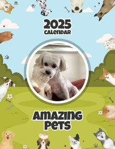 Amazing Pets: 2025 Wall Calendar (Pre-Order)