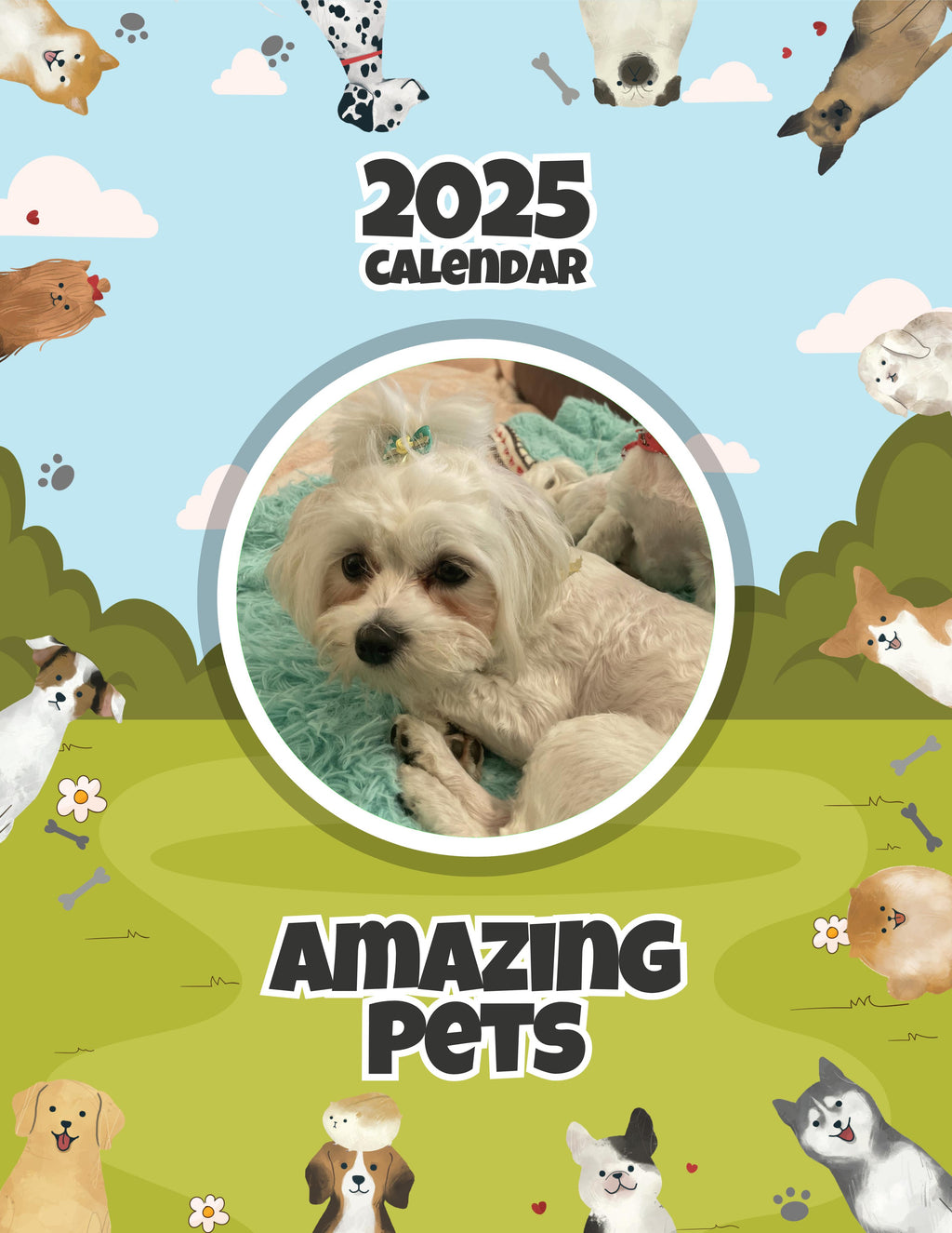 Amazing Pets: 2025 Wall Calendar (Pre-Order)