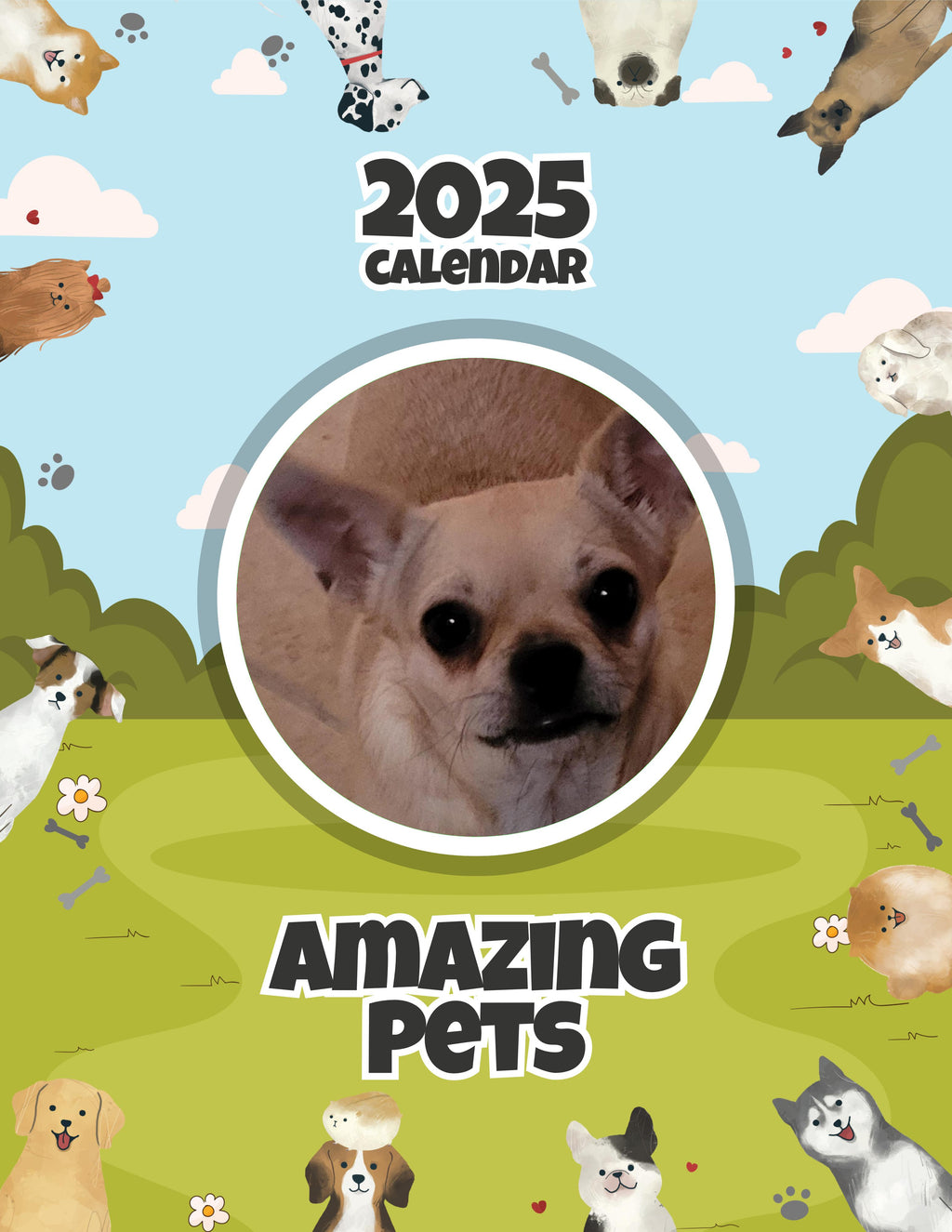 Amazing Pets: 2025 Wall Calendar (Pre-Order)