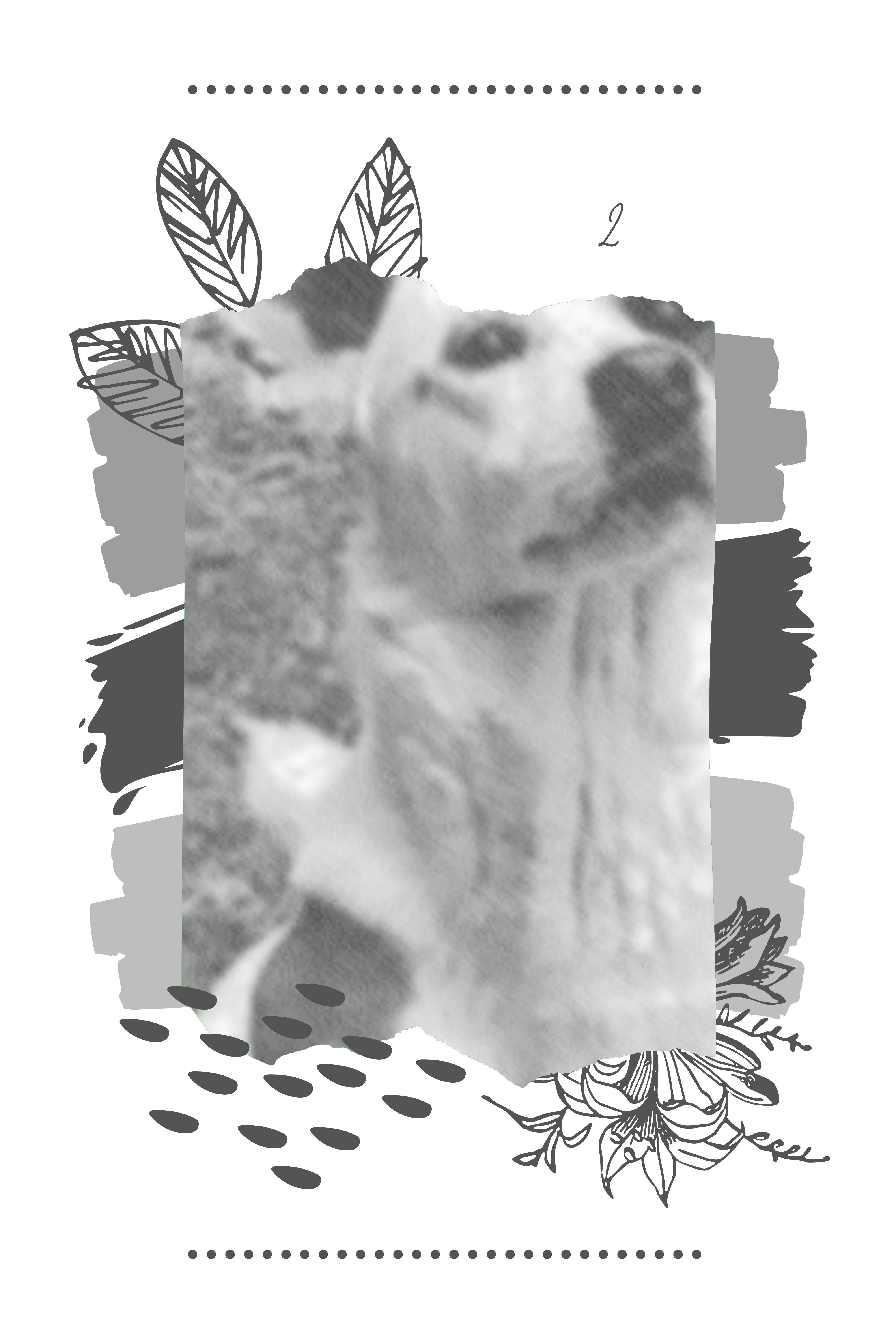 2 the Magnificent: Sketch Art Canvas