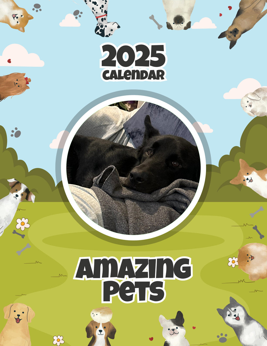 Amazing Pets: 2025 Wall Calendar (Pre-Order)