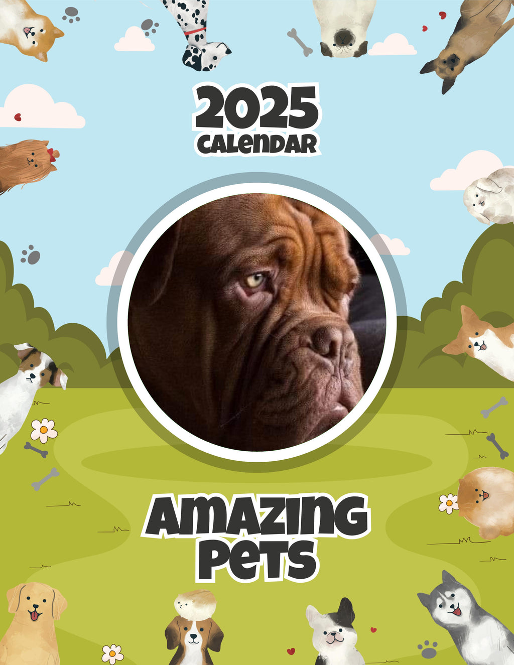Amazing Pets: 2025 Wall Calendar (Pre-Order)