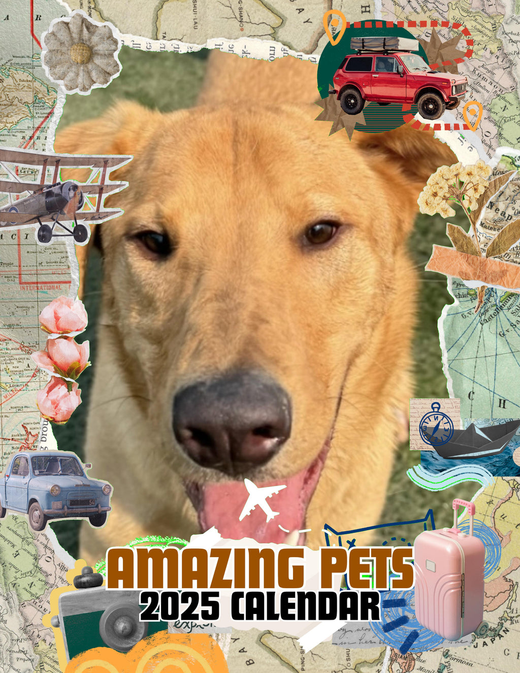 Amazing Pets: 2025 Wall Calendar (Pre-Order)