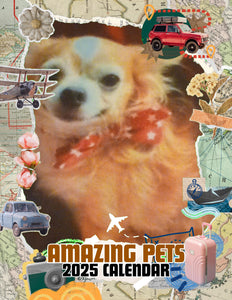 Amazing Pets: 2025 Wall Calendar (Pre-Order)