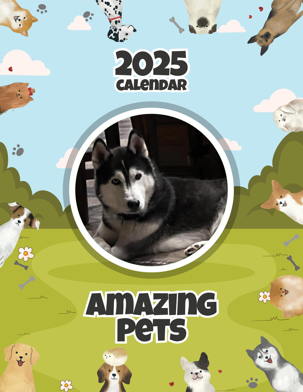 Amazing Pets: 2025 Wall Calendar (Pre-Order)