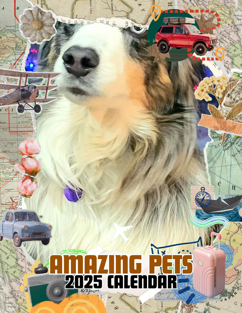 Amazing Pets: 2025 Wall Calendar (Pre-Order)