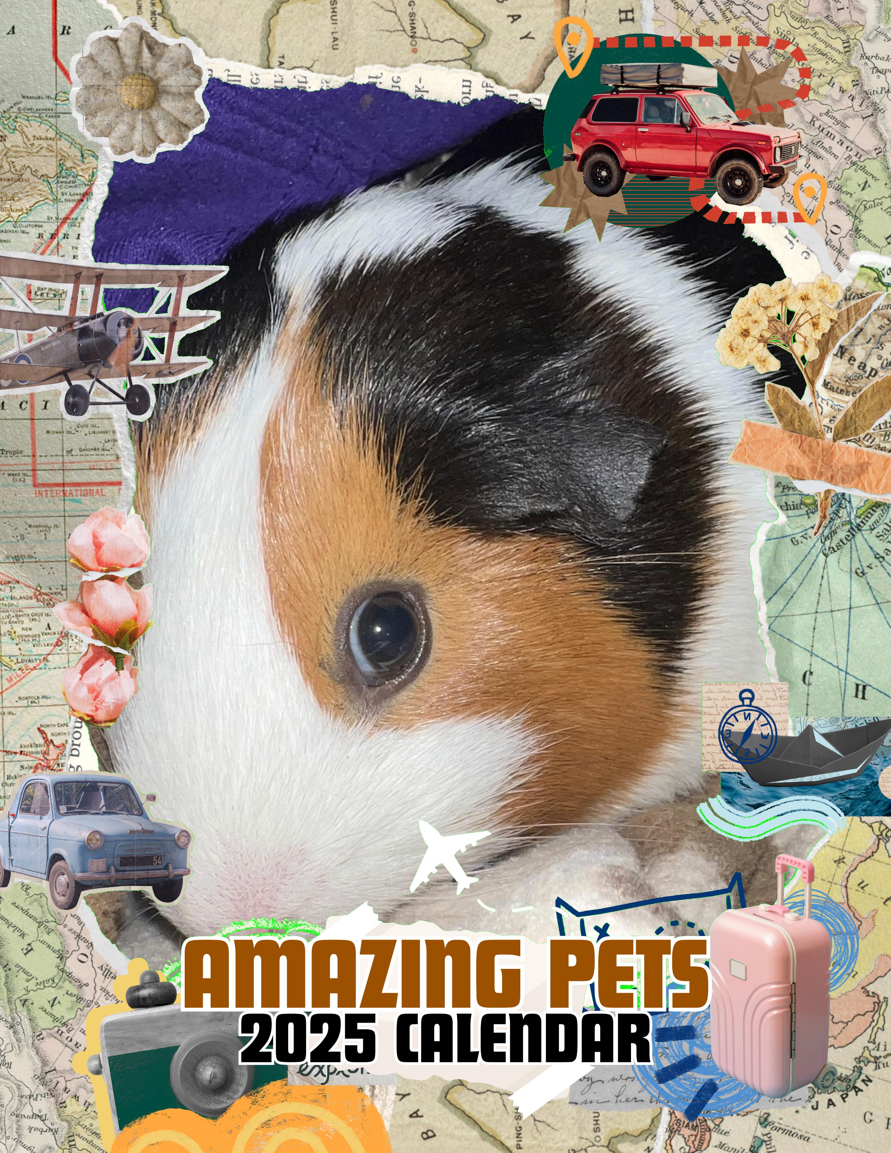 Amazing Pets: 2025 Wall Calendar (Pre-Order)