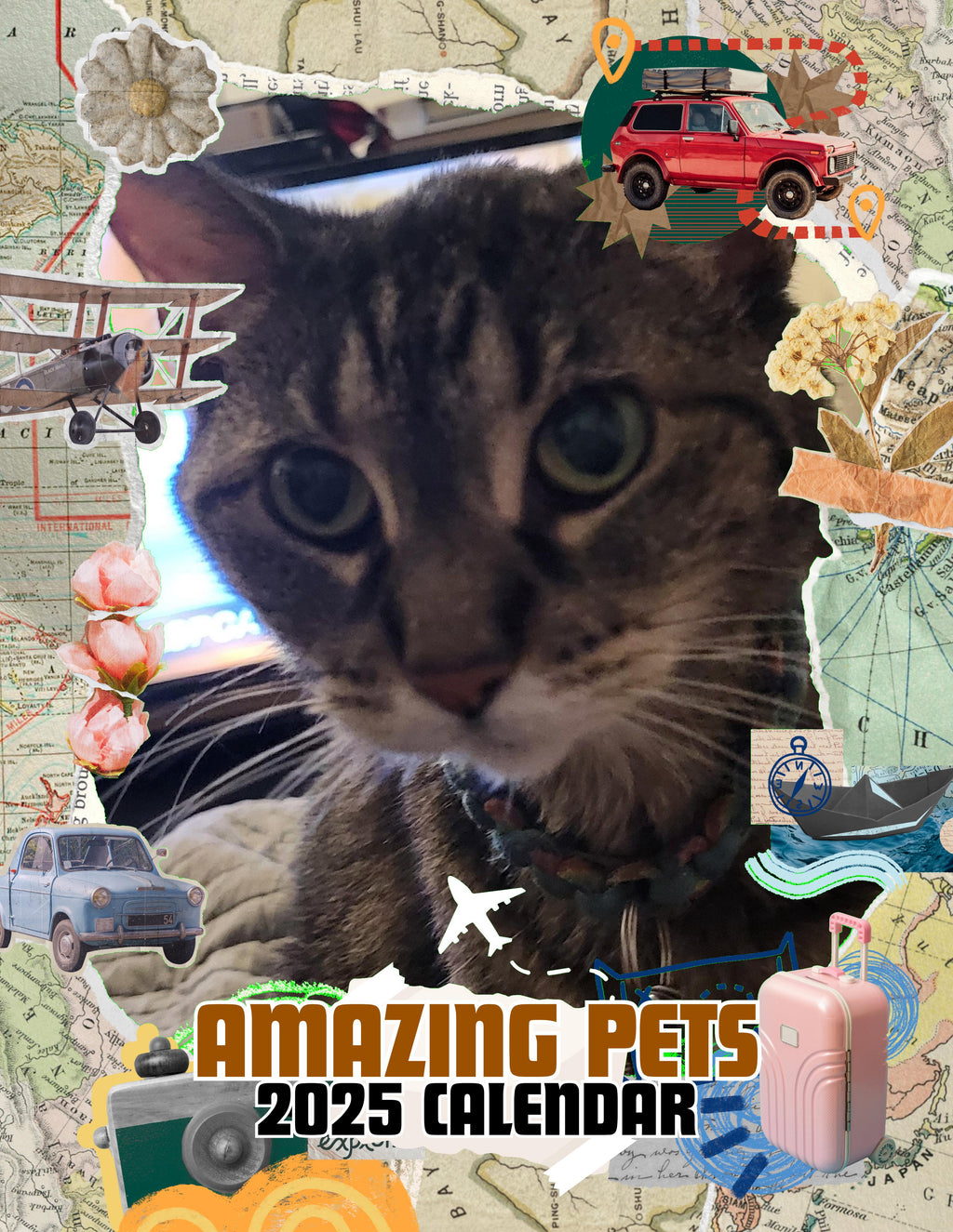 Amazing Pets: 2025 Wall Calendar (Pre-Order)