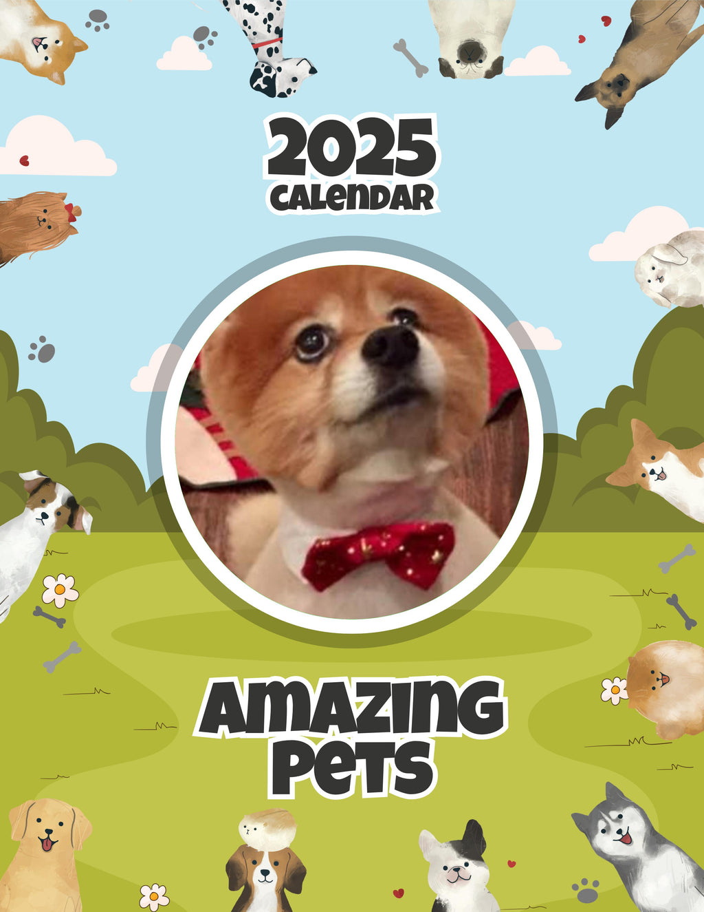 Amazing Pets: 2025 Wall Calendar (Pre-Order)