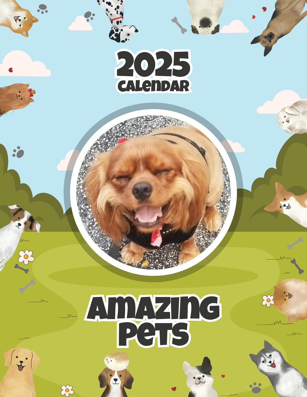 Amazing Pets: 2025 Wall Calendar (Pre-Order)