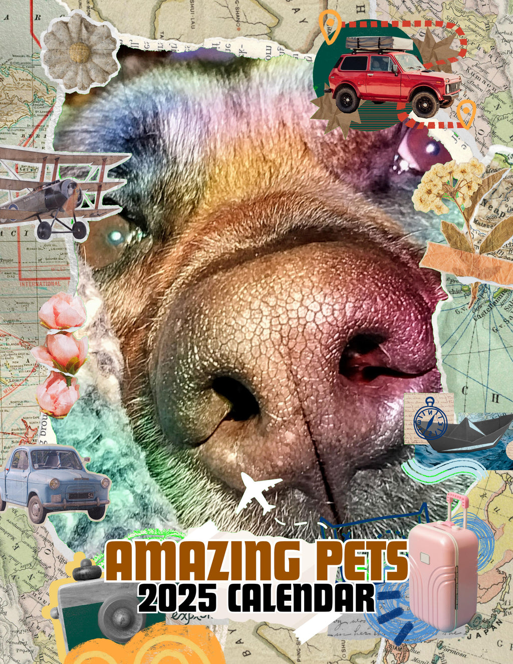 Amazing Pets: 2025 Wall Calendar (Pre-Order)