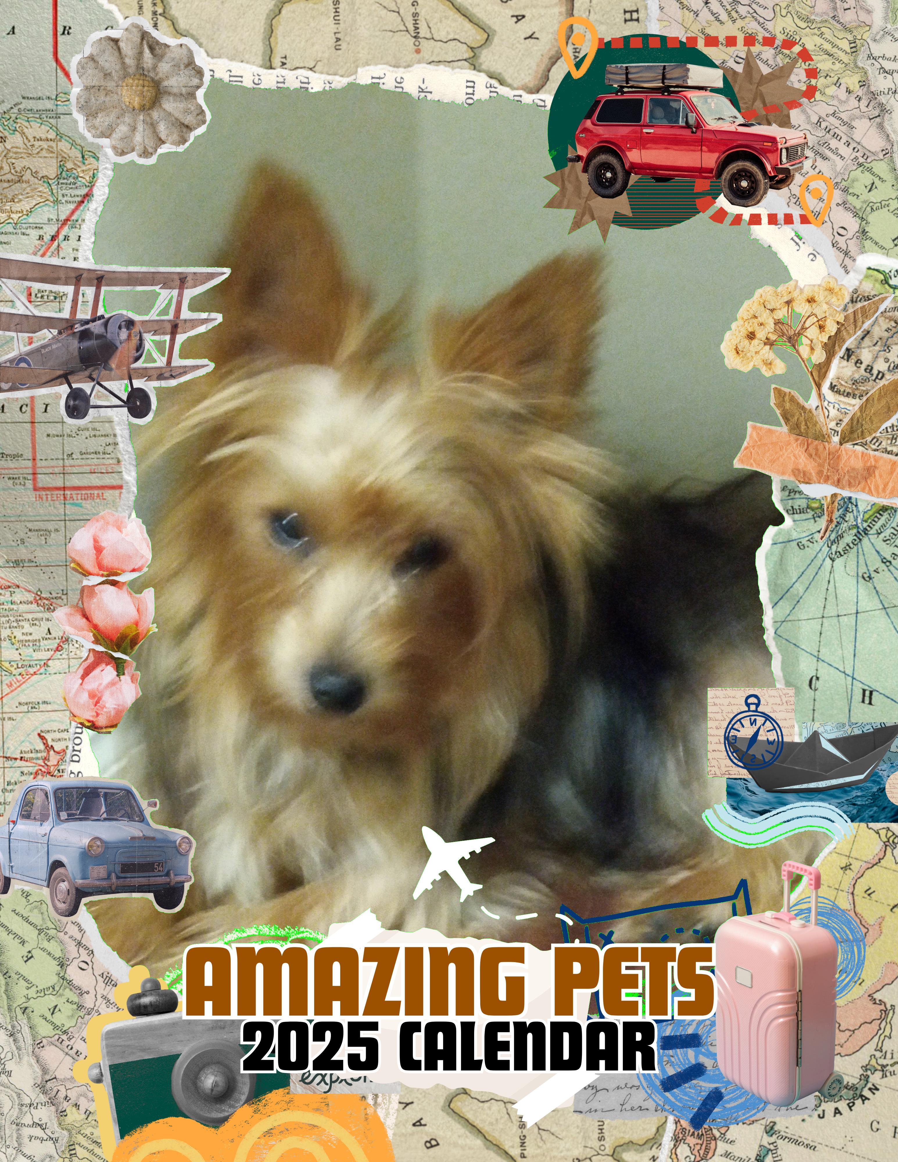 Amazing Pets: 2025 Wall Calendar (Pre-Order)
