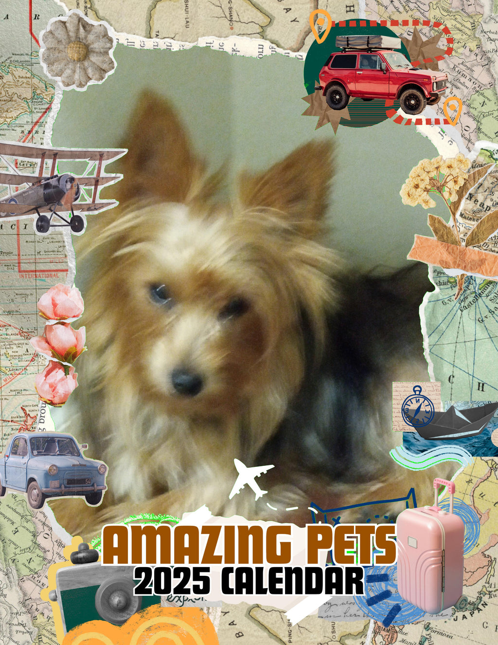 Amazing Pets: 2025 Wall Calendar (Pre-Order)