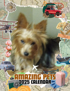 Amazing Pets: 2025 Wall Calendar (Pre-Order)