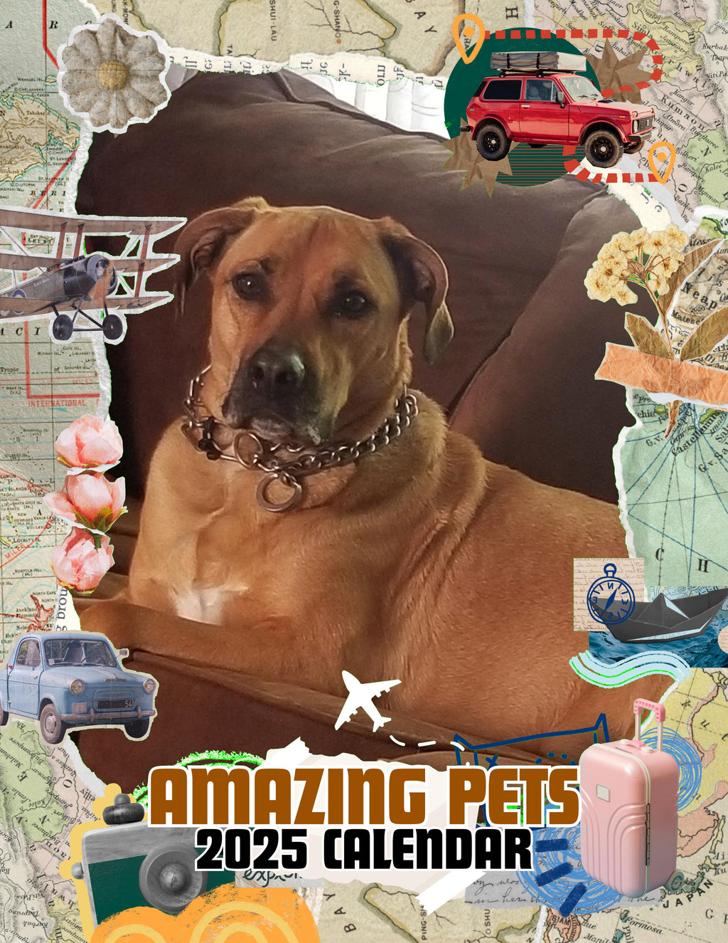Amazing Pets: 2025 Wall Calendar (Pre-Order)