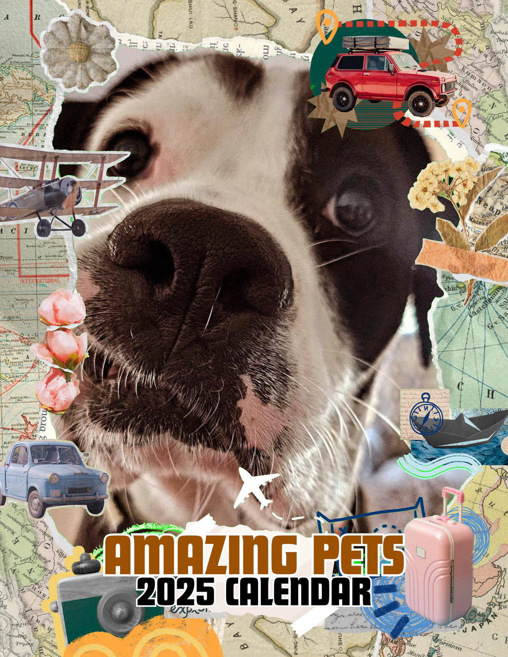 Amazing Pets: 2025 Wall Calendar (Pre-Order)