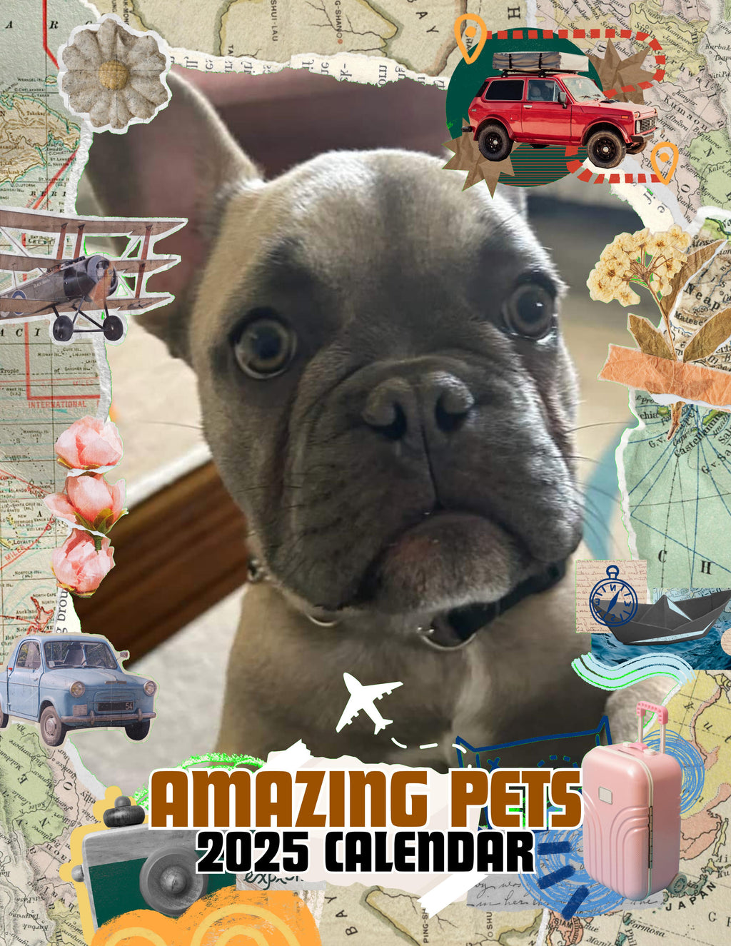 Amazing Pets: 2025 Wall Calendar (Pre-Order)