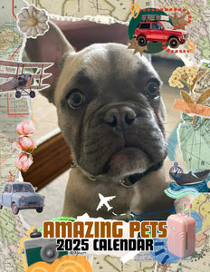 Amazing Pets: 2025 Wall Calendar (Pre-Order)