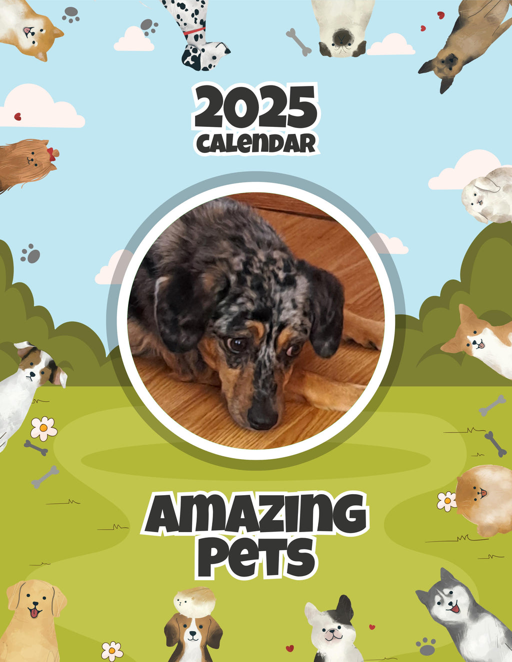Amazing Pets: 2025 Wall Calendar (Pre-Order)