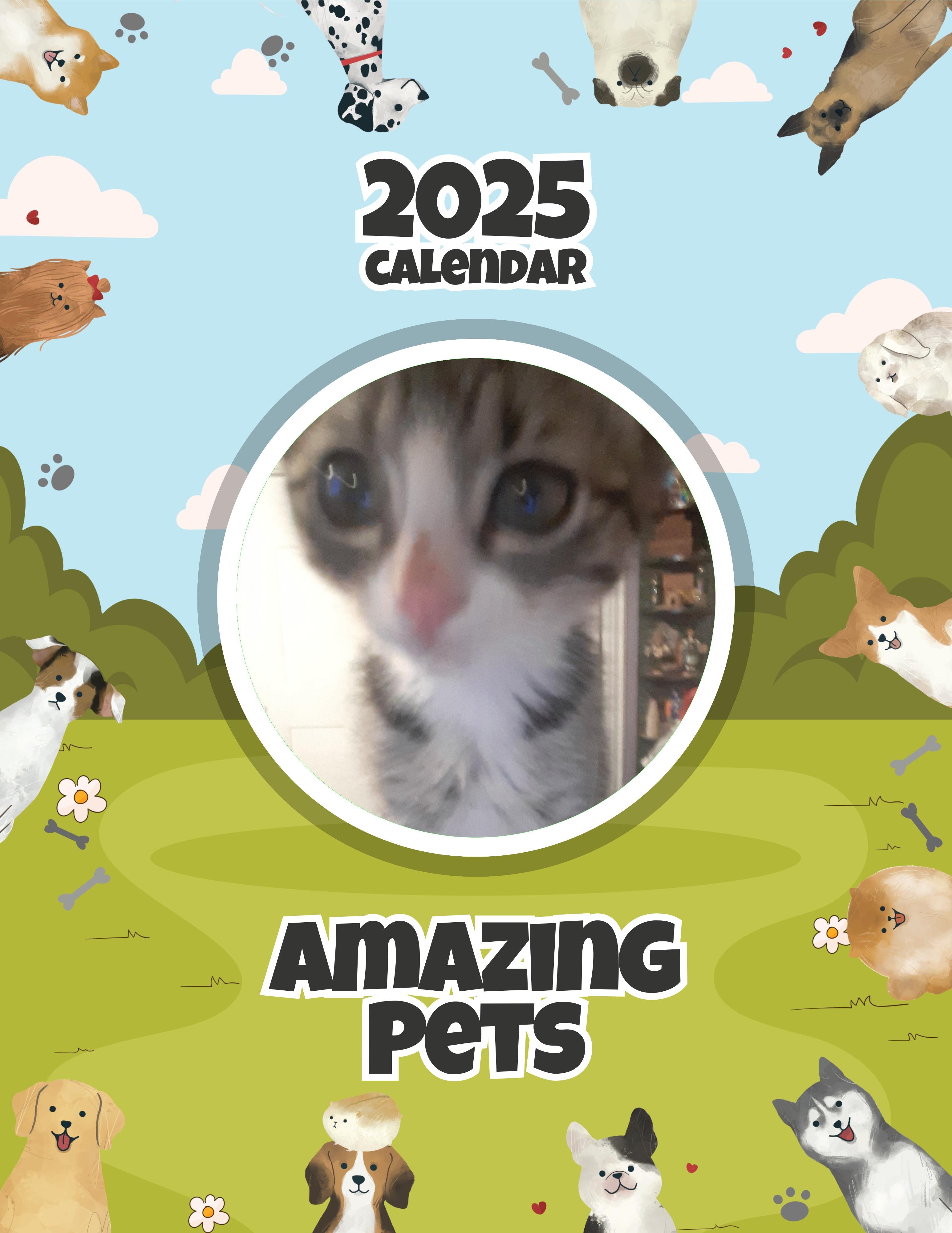Amazing Pets: 2025 Wall Calendar (Pre-Order)