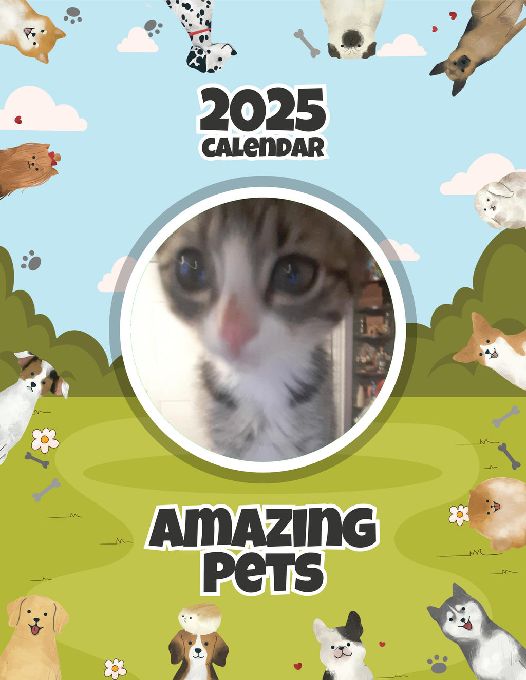 Amazing Pets: 2025 Wall Calendar (Pre-Order)