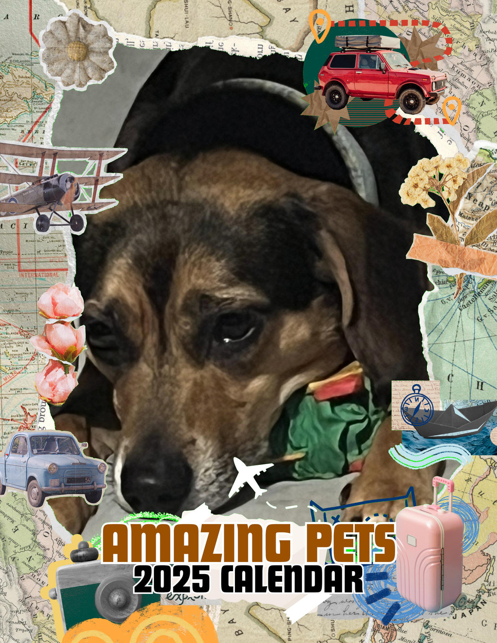 Amazing Pets: 2025 Wall Calendar (Pre-Order)