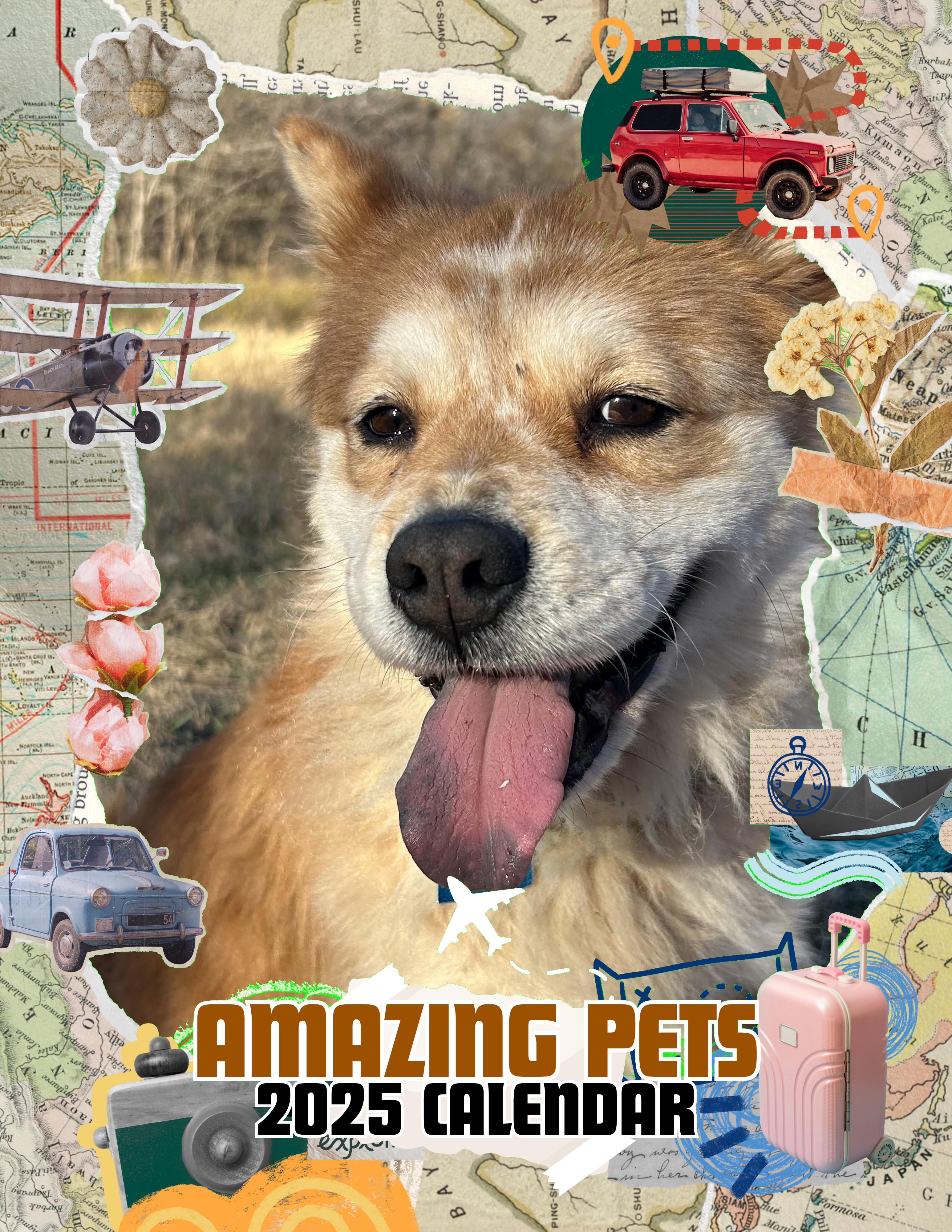 Amazing Pets: 2025 Wall Calendar (Pre-Order)