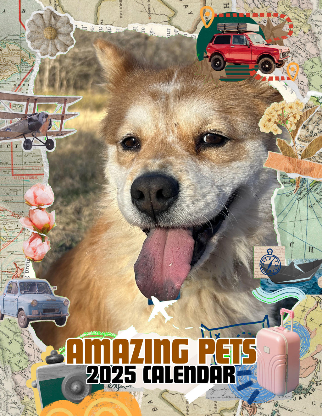 Amazing Pets: 2025 Wall Calendar (Pre-Order)