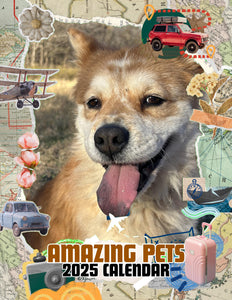 Amazing Pets: 2025 Wall Calendar (Pre-Order)
